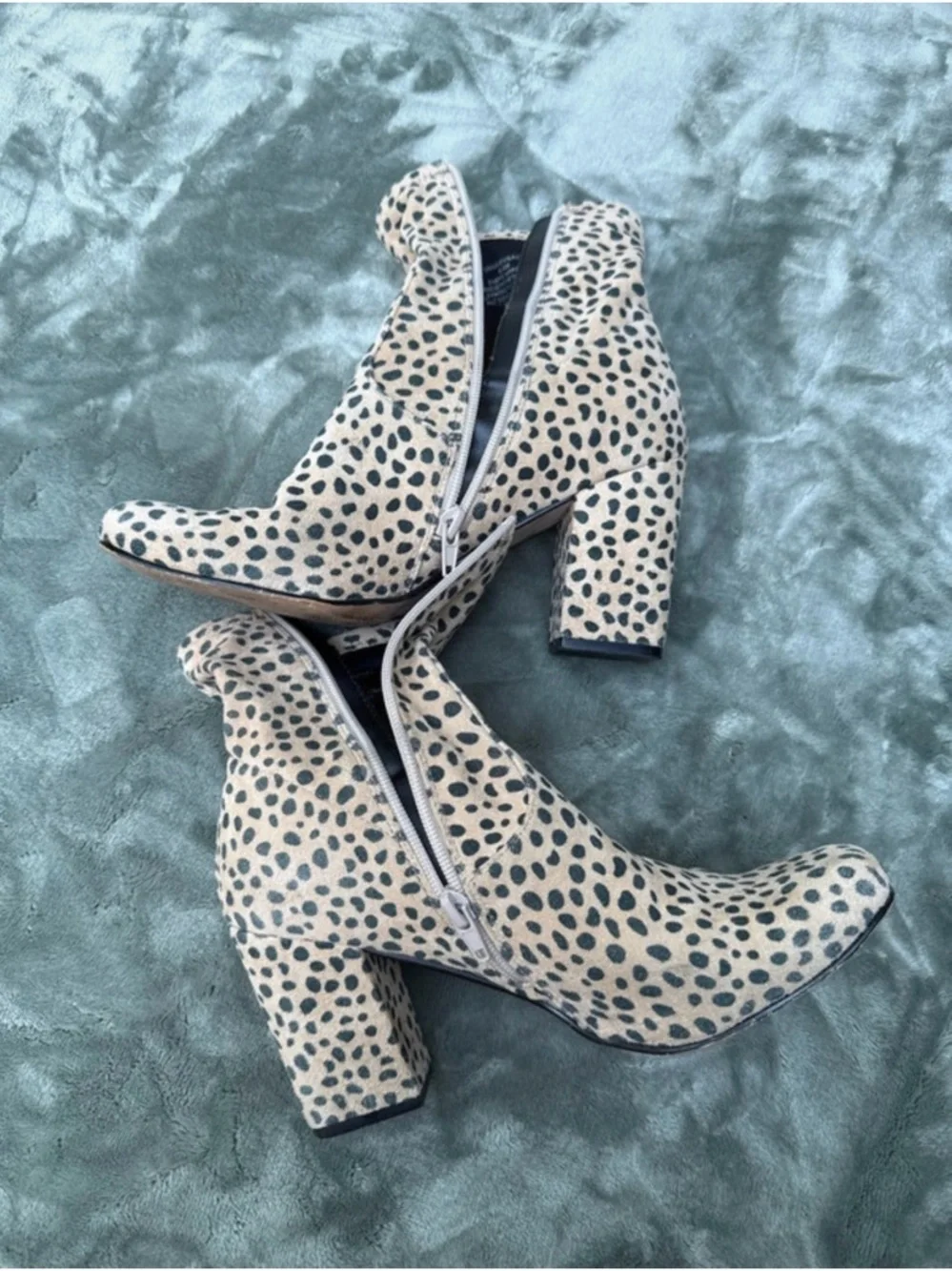 Steve Madden Cheetah Spot Ankle Boots in Cream & Black